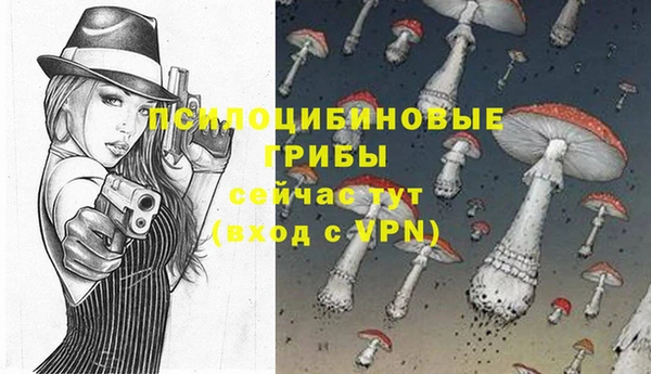 бутират Баксан