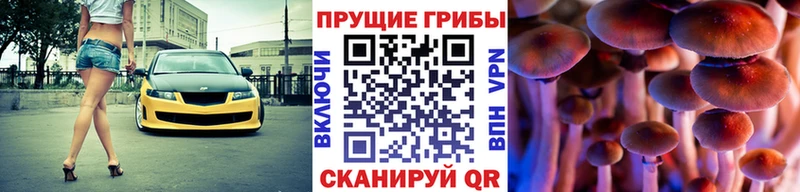 hydra ССЫЛКА  Краснокаменск  Псилоцибиновые грибы Psilocybe 